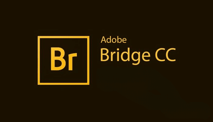 Adobe Bridge 2023 v13.0.4.755 instal the new version for windows